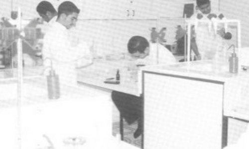 Students in the lab of Abu Dhabi International School in the early 2000s